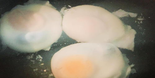 荷包蛋怎么煮才能完整-水煮荷包蛋怎么煮才能完整