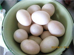咸鸭蛋的吃法与做法大全-咸鸭蛋的吃法与做法大全图解