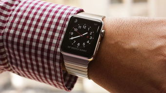 苹果iPhone和Watch设计主管将离职 公司最关键的产品线将迎来调整