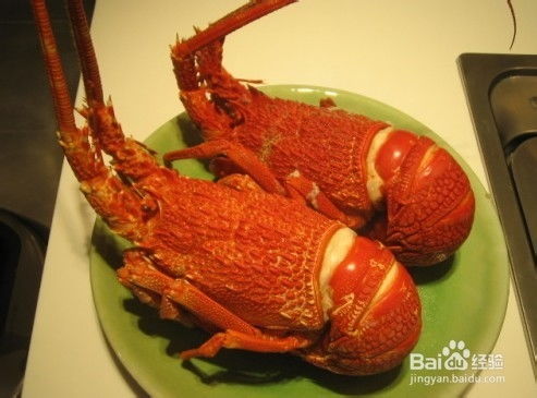 澳洲龙虾的做法与杀法-澳洲龙虾的做法与杀法图片