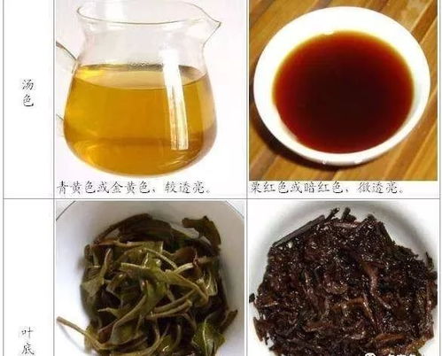 茶叶的功效与作用-普洱茶的功效与作用