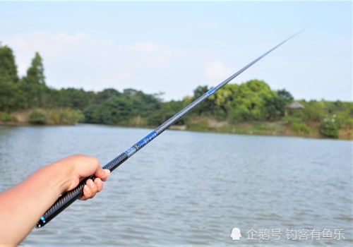 一米的小海竿怎么钓鱼-一米小海竿使用技巧