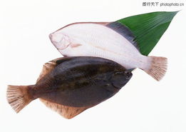 潮汕鱼类俗称大全-潮汕鱼类俗称大全好鱼