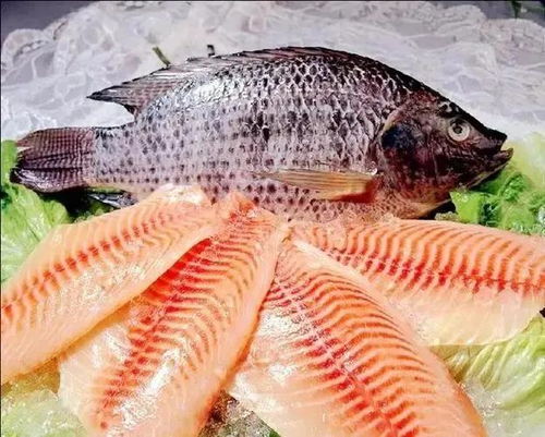 罗非鱼的营养价值及功效与作用,罗非鱼的营养价值怎么样