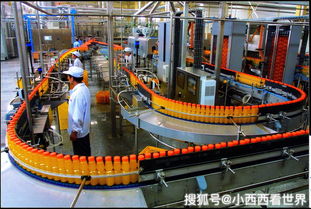 太阳纸业：广西北海园区化学浆生产线实际产量已超设计生产能力